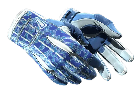 Sport Gloves | Amphibious