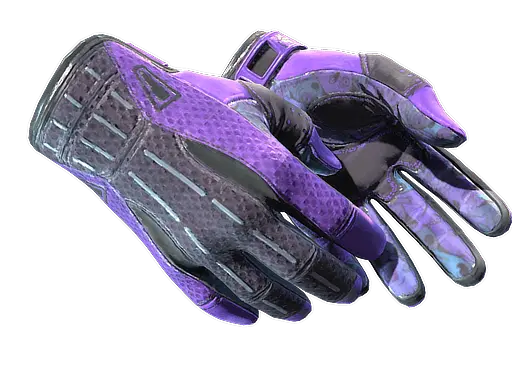 Sport Gloves | Pandora's Box