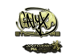 Calyx (Gold) | Antwerp 2022