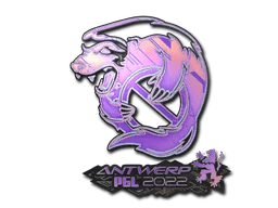 Outsiders (Holo) | Antwerp 2022