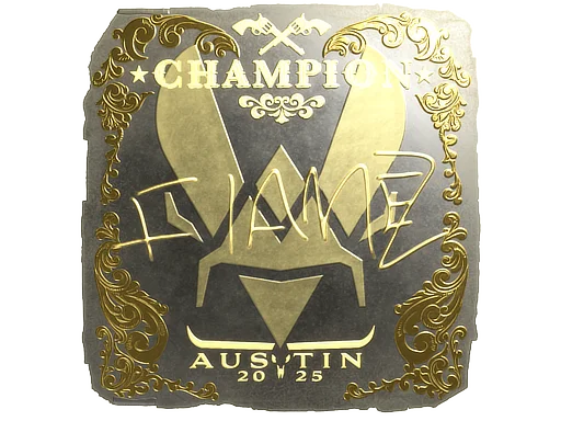 FlameZ (Gold, Champion) | Austin 2025