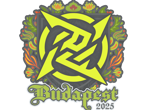 Ninjas in Pyjamas | Budapest 2025