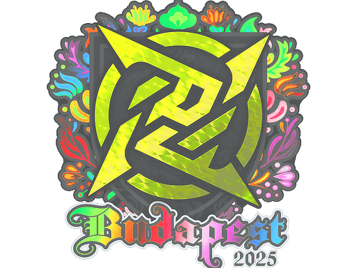 Ninjas in Pyjamas (Holo) | Budapest 2025