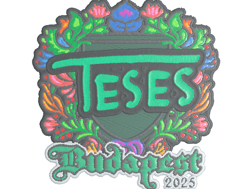 TeSeS (Embroidered) | Budapest 2025