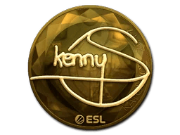 kennyS (Gold) | Katowice 2019