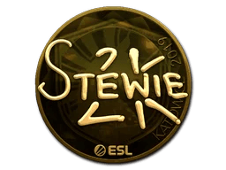 Stewie2K (Gold) | Katowice 2019