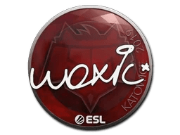 woxic | Katowice 2019