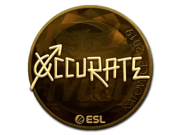 xccurate (Gold) | Katowice 2019