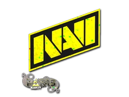 Natus Vincere (Glitter) | Paris 2023