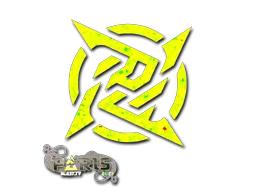 Ninjas in Pyjamas (Glitter) | Paris 2023