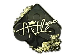 Ax1Le (Gold) | Rio 2022