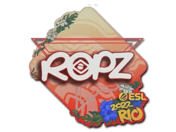 ropz | Rio 2022