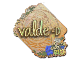 v4lde (Holo) | Rio 2022