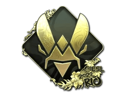 Vitality (Gold) | Rio 2022